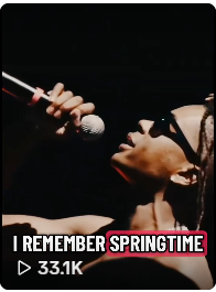 TikTok views proof example